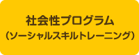 社会性プログラム（ソーシャルスキルトレーニング）